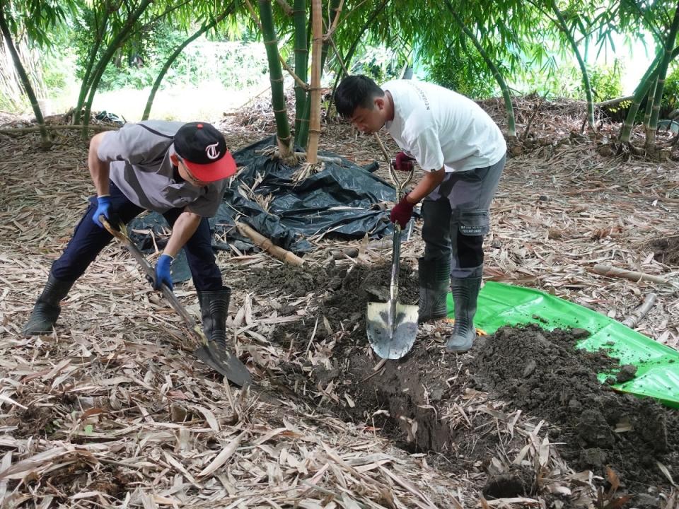 農友進行棲地營造，於竹林田區建構小水域。（圖：林業署嘉義分署）