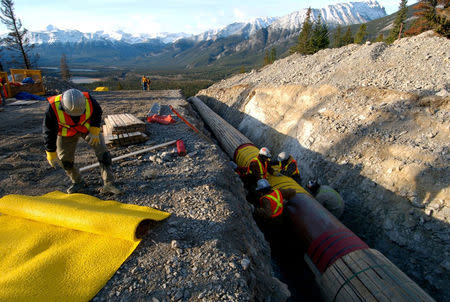 FILE PHOTO: Workers construct the Anchor Loop section of Kinder Morgan's Trans Mountain pipeline expansion in Jasper National Park in a 2009 file photo. Kinder Morgan Canada/Handout via REUTERS/File Photo