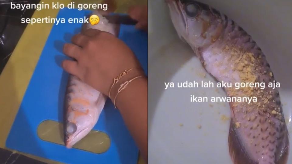 印尼人妻將名貴紅龍魚下鍋煮食。（圖／翻攝自TikTok miakurniawan01）