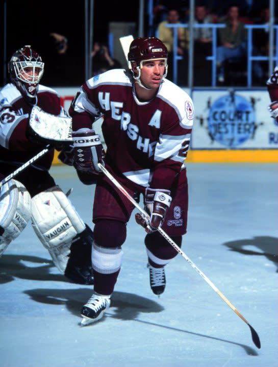 1995 Season: Todd Nelson of the Hershey Bears. (Photo by Jim Leary/Getty Images)