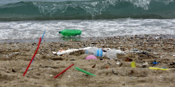 Tourism has destroyed beaches of under developed countries throughout the world.