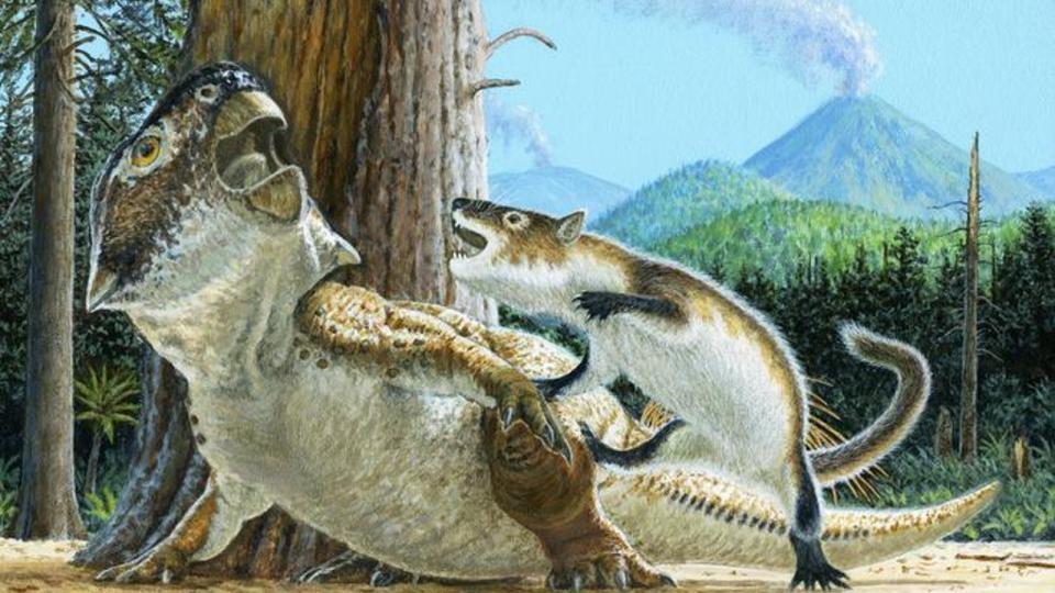 An illustration of a small mammal attacking a larger dinosaur