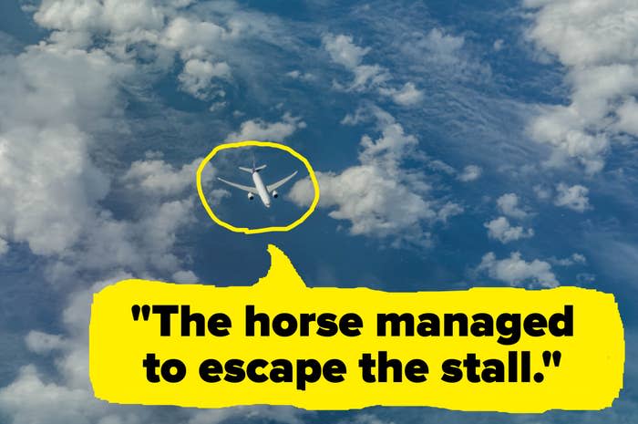 "The horse managed to escape the stall."