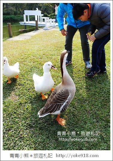 大溪水晶教堂》桃園親子一日遊 夢幻外拍景點富田花園農場