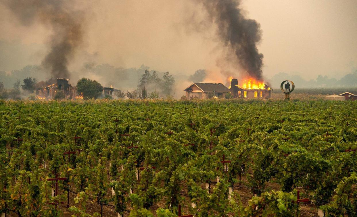 A building is engulfed in flames at a vineyard during the Kincade fire near Geyserville, Calif. on Oct. 24, 2019. The fast-moving wildfire roared through California wine country early Thursday as authorities warned of the imminent danger of more fires across much of the Golden State. The Kincade fire in Sonoma County kicked up Wednesday night, quickly growing from a blaze of a few hundred acres into an uncontained 4,000-acre inferno, California fire and law enforcement officials said.