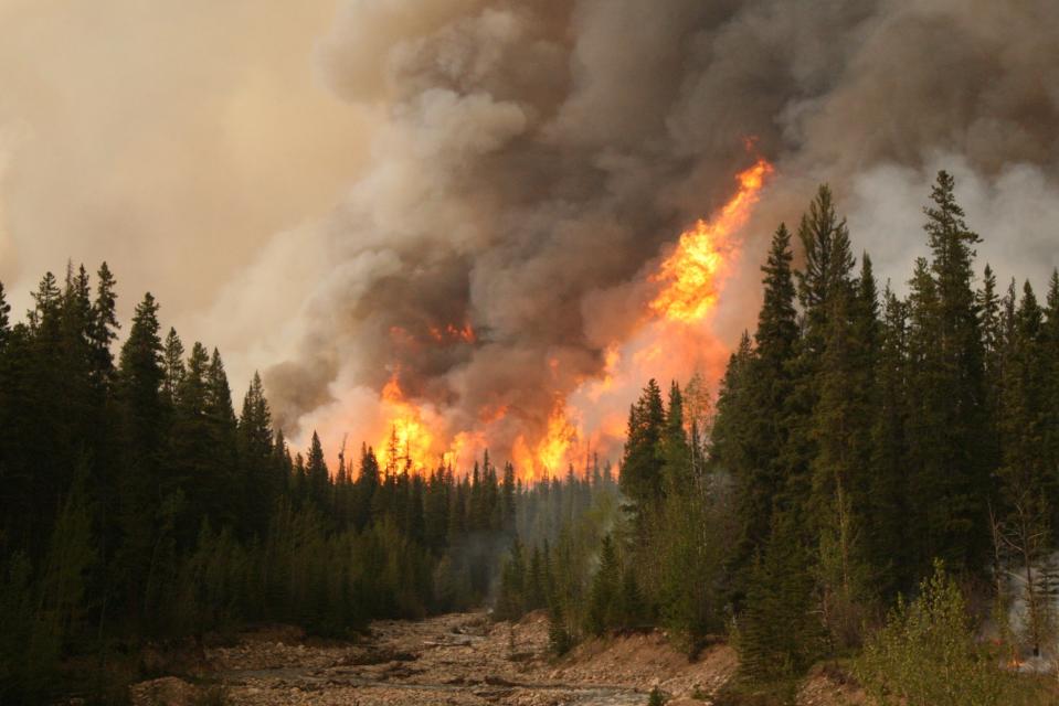 A forest fire burns in Ontario. (Photo from Natural Resources Canada)