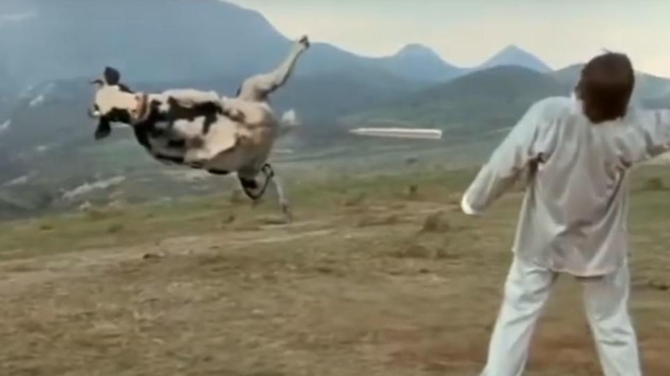 Kung Pow! Enter the Fist’s Matrix cow fight