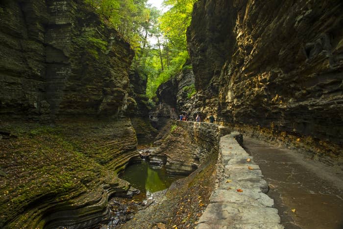 Watkins Glen Gorge Trail.