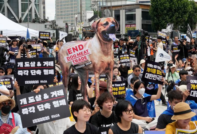 En esta imagen de archivo, activistas por los derechos de los animales, durante una concentración contra la práctica cultural surcoreana de comer carne de perro, en Seúl, Corea del Sur, el 8 de julio de 2023. (AP Foto/Ahn Young-joon, archivo)