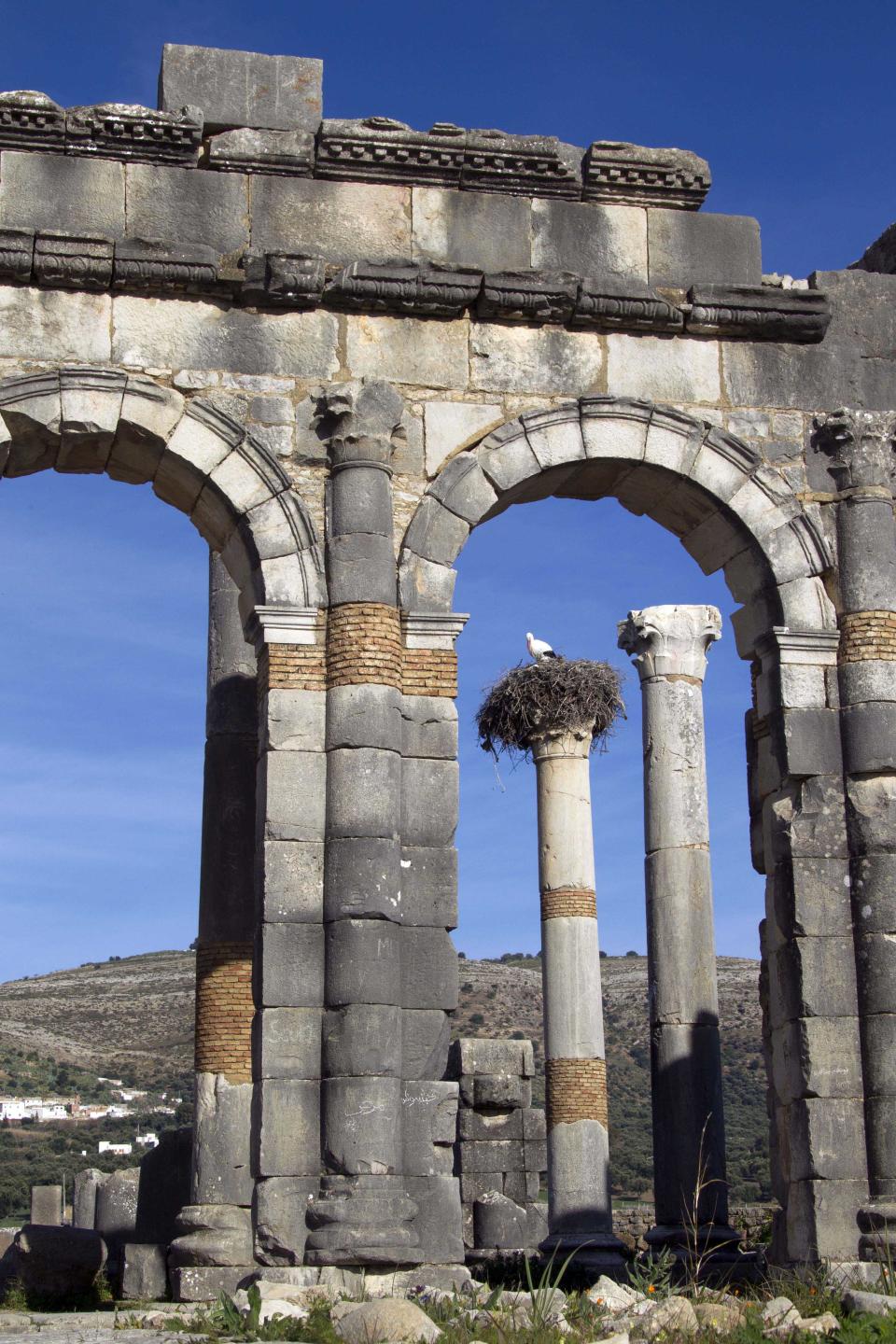 In this Thursday, March 8, 2012 photo, a stork nests on top of a pillar seen through the arches of the Basilica, the main administrative building of Volubilis, Morocco's premier Roman ruin near Meknes, Morocco. (AP Photo/Abdeljalil Bounhar)