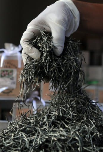 In this picture, taken on June 26, a Sri Lankan teamaker is seen preparing virgin white tea at a factory shop in Ahangama, some 140km south of Colombo. Sri Lanka is known for its exotic tea and is a top exporter of the commodity, but the industry is deeply divided over plans to boost earnings by importing cheaper tea for blending and re-export