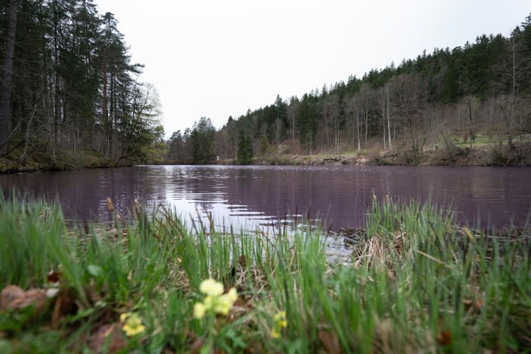 Deutschland muss nach Einschätzung des Sachverständigenrats für Umweltfragen auf nationaler Ebene rasch die Weichen für eine Wiederherstellung der Umwelt stellen - unabhängig vom stockenden Gesetzgebungsprozess auf EU-Ebene. (Lukas Barth-Tuttas)