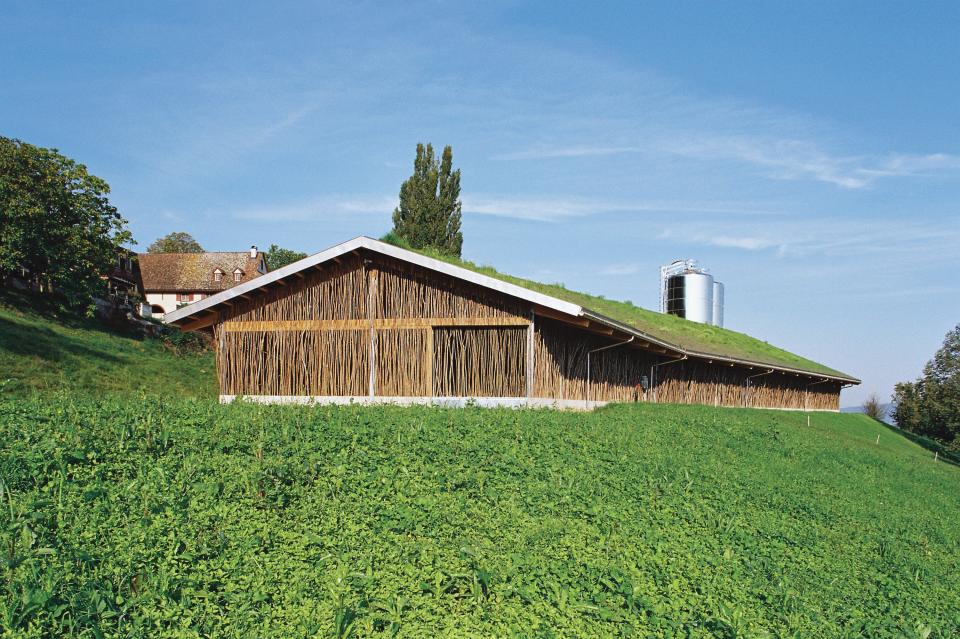 Schönenberg Farm (Basel, Switzerland)