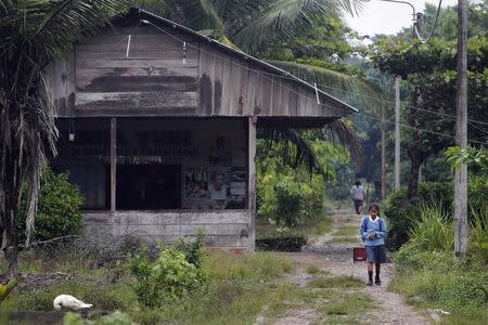 A girl walks to her school in the town of Diamante, a village near the Alto Madre de Dios River, May 26, 2014. REUTERS/Enrique Castro-Mendivil