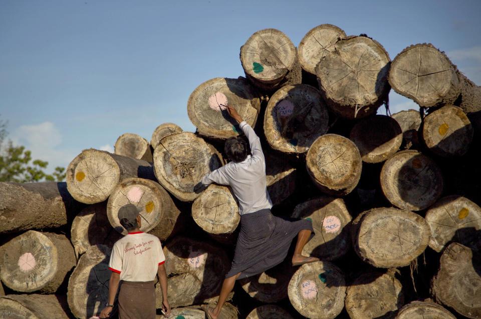 FILE - A worker marks logs before transporting at a yard in Wuntho, northern Sagaing division, Myanmar, June 27, 2016. American companies are still importing teak from Myanmar despite sanctions imposed after the military seized power last year, a report based on trade data said Tuesday, Jan. 11, 2022. (AP Photo/ Gemunu Amarasinghe, File)