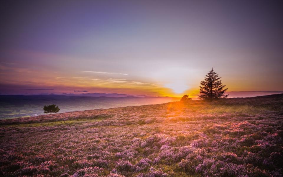 Moel Famau Country Park is the UK's seventh largest - This content is subject to copyright.