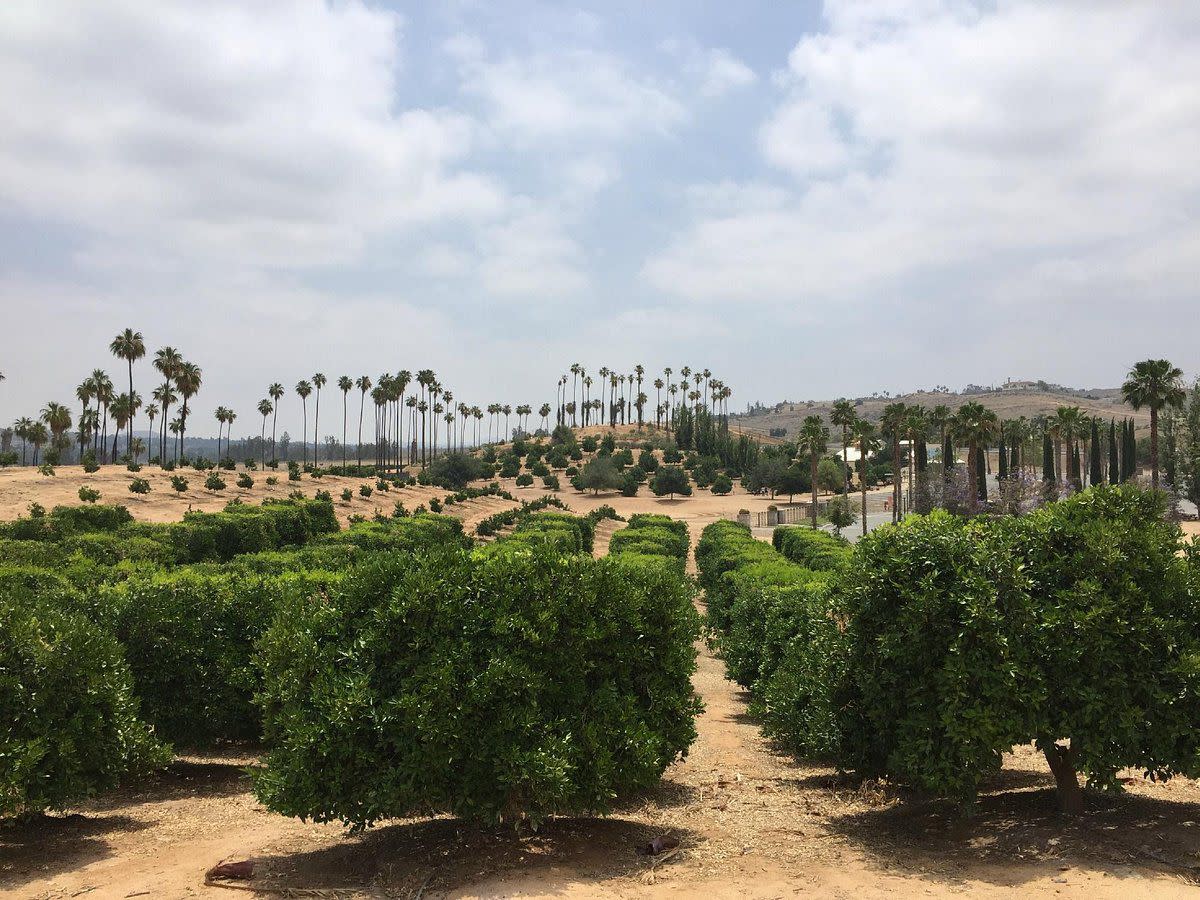 California Citrus State Historic Park