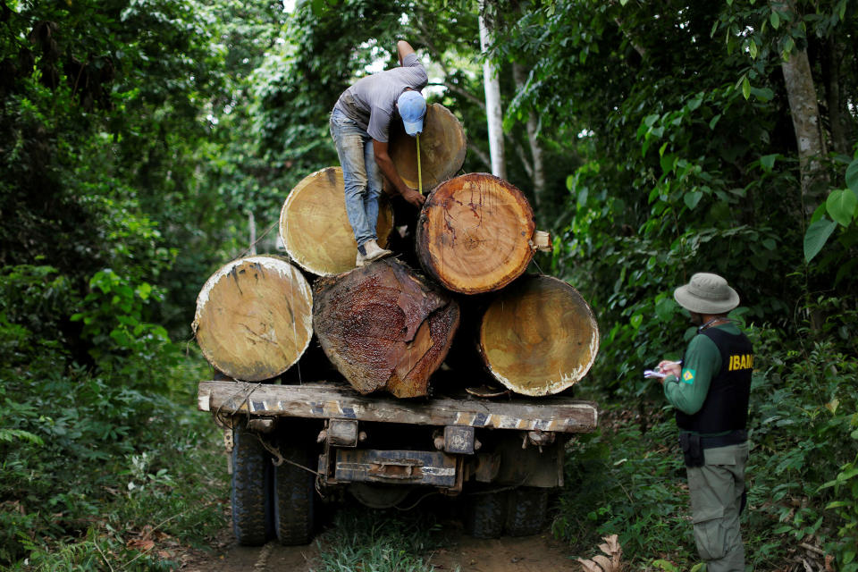 Brazil’s Amazon guardians