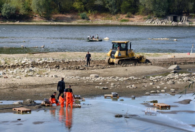 Making the most of record low waters levels due to drought, historians are recovering relics from the 17th century at Vistula river in Warsaw on September 3, 2015