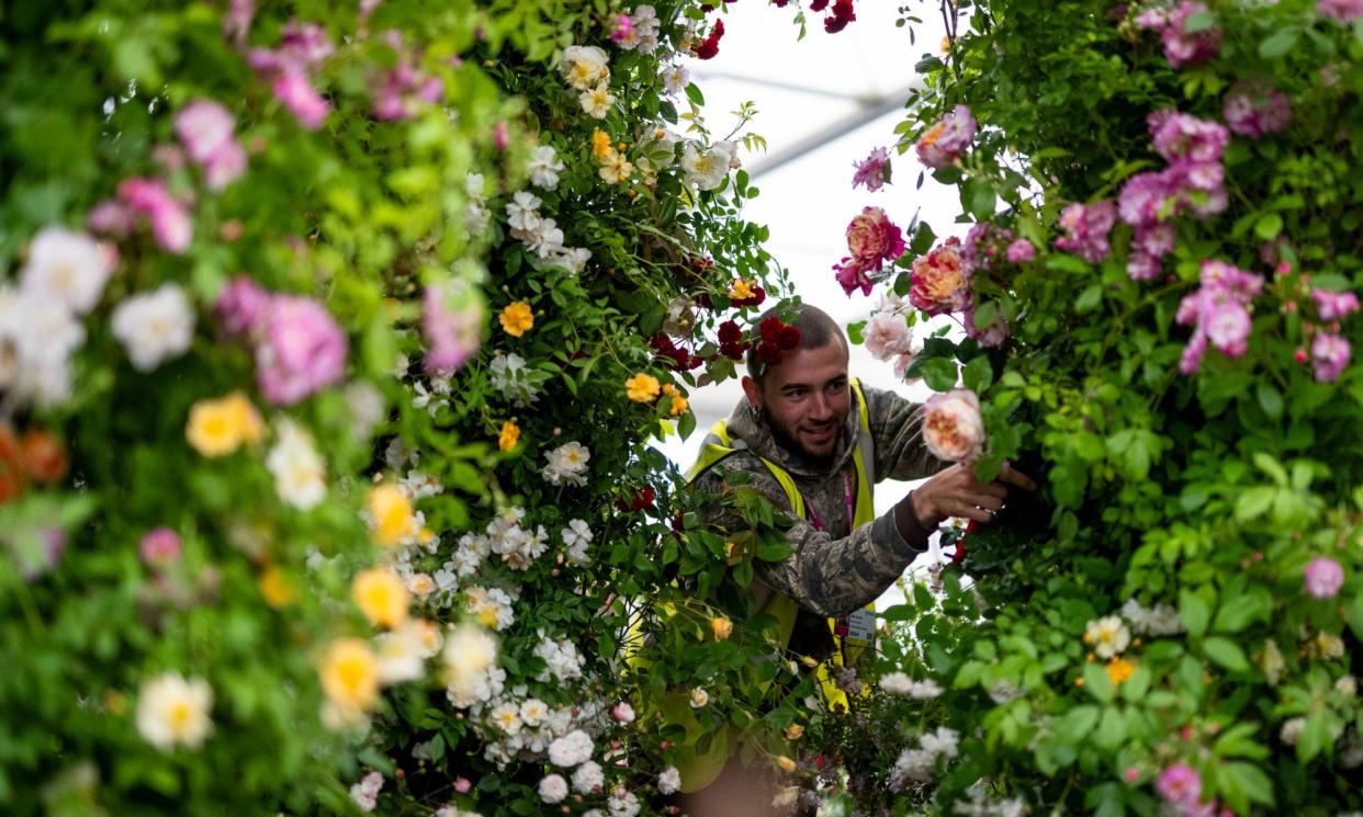 <span>Preparations get under way for the RHS Chelsea flower show in London.</span><span>Photograph: Jordan Pettitt/PA</span>