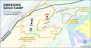 Main Gold Zones of the Williams Brook Property