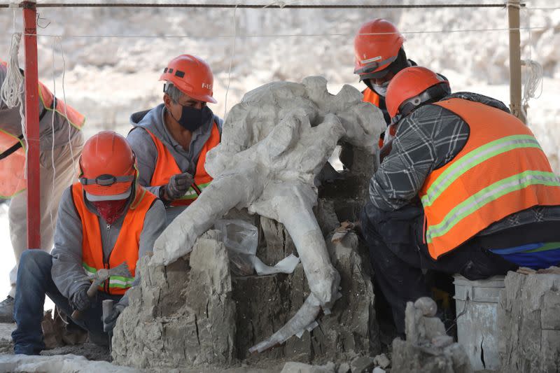 Archaeologists from the National Institute of Anthropology and History (INAH) work at a site where they are unearthing remains of mammoths, in Zumpango