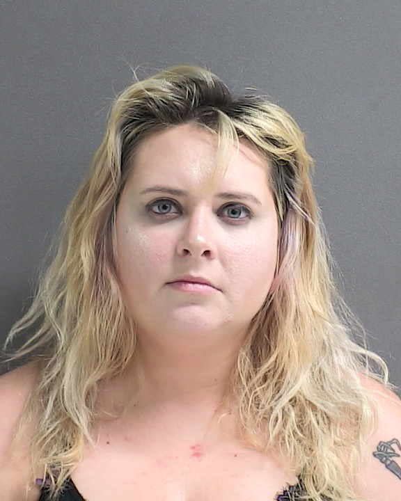 Samantha Rae Link, 30, charged with grand theft of over $100,000 and organized scheme to defraud over $50,000.