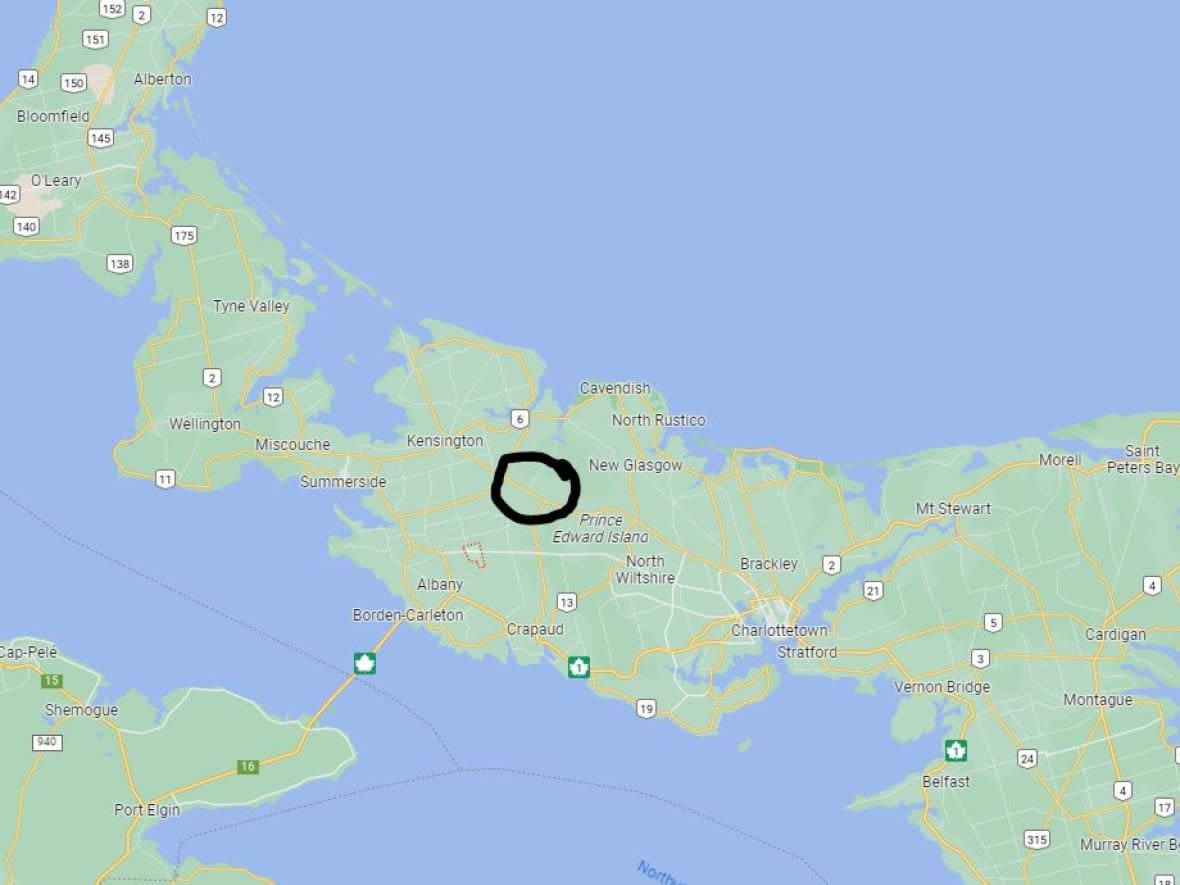 The collision happened Friday evening in Springfield, P.E.I., circled on the map. (Google Maps - image credit)