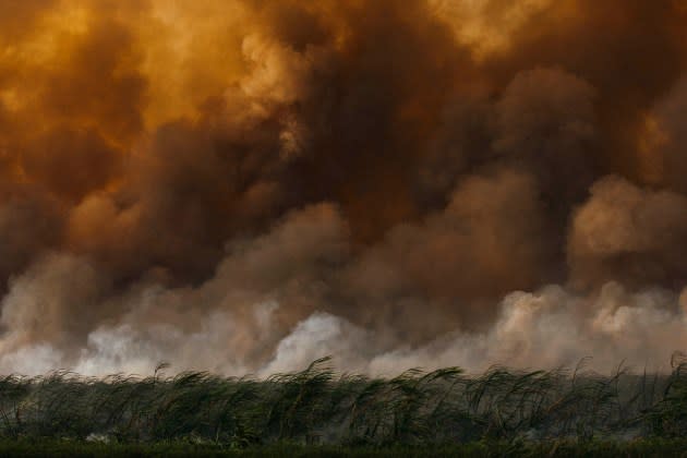 Fire and smoke from sugar-cane fields. - Credit: Photographs by Rose Marie Cromwell