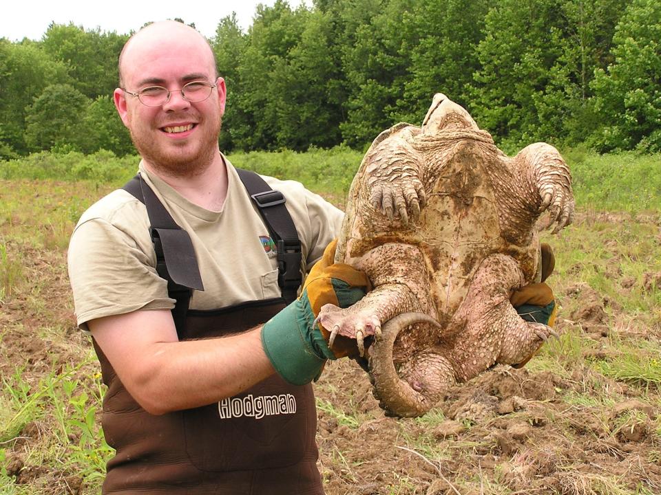 Zach Walker, former state herpetologist with DNR, holds a snapping turtle that was caught during turtle research in Indiana in 2004.