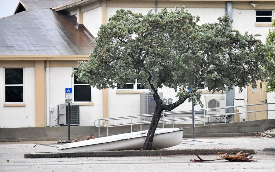 A small boat is tied to a tree as Hurricane Ian approaches with heavy winds and rain on September 28, 2022, in St. Petersburg, Florida. (Photo by Gerardo Mora/Getty Images)