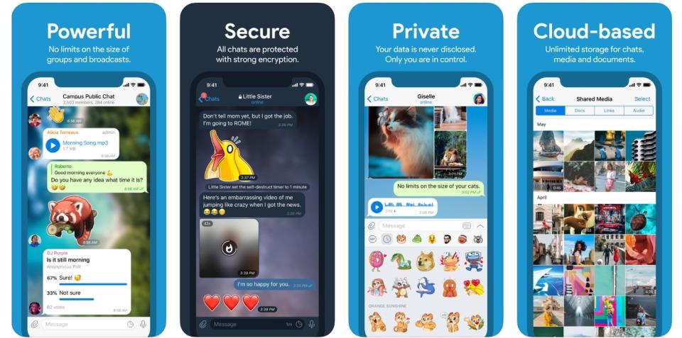 社群通訊軟體Telegramｙ告蘋果壟斷。   圖：取自App Store