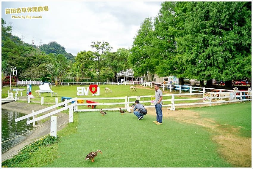 桃園｜富田香草休閒農場