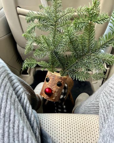 Jennifer Aniston/Instagram Jennifer Aniston's reindeers also featured in her decorations last year