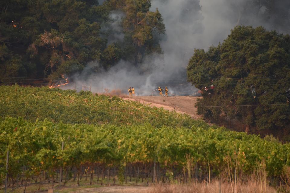 Firefighters protect a vineyard in Santa Rosa, in Sonoma County, on Oct. 11. Damage at vineyards has also caused job losses. Particularly hard hit are immigrant families. (Photo: ROBYN BECK via Getty Images)