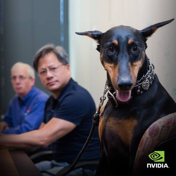 狗狗Diva與黃仁勳在會議室閒聊。（圖／IG：NVIDIA）