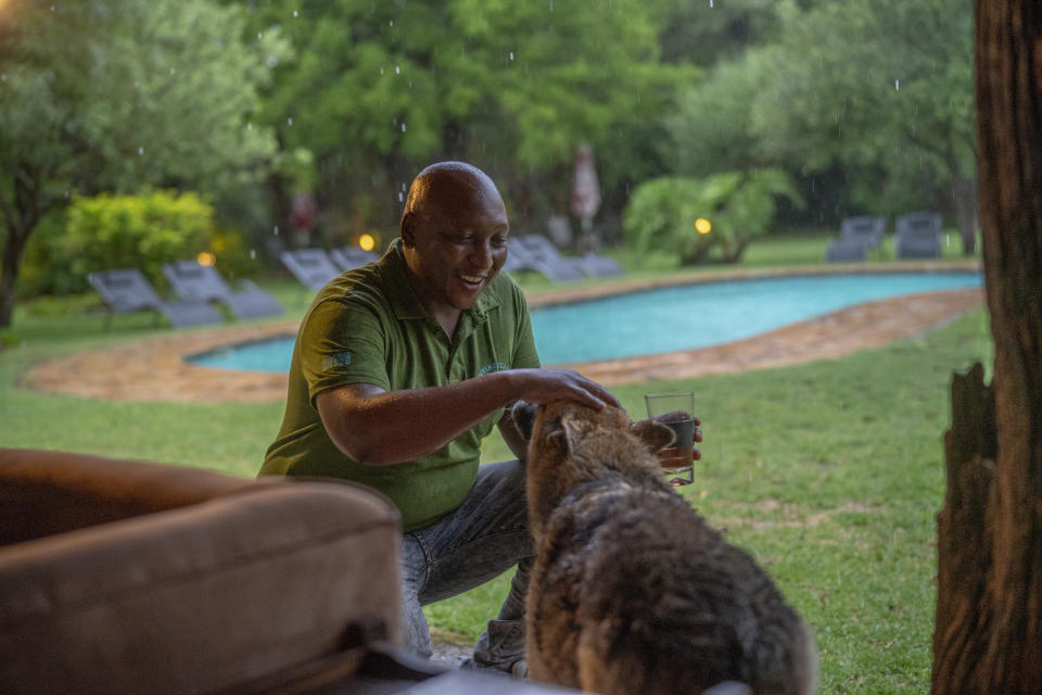 Tebogo Masiu is greeted by Kaya the house dog at the Tamboti Bush Lodge in the Dinokeng game reserve near Hammanskraal, South Africa Saturday Dec. 4, 2021. Recent travel bans imposed on South Africa and neighboring countries as a result of the discovery of the omicron variant in southern Africa have hammered the country’s safari business, already hard hit by the pandemic. (AP Photo/Jerome Delay)