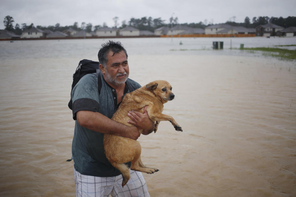 A man carries a dog after being rescued from rising floodwaters due to Hurricane Harvey in Spring, Texas, U.S., on Monday, Aug. 28, 2017. A deluge of rain and rising floodwaters leftï¿½Houstonï¿½immersed and helpless,ï¿½crippling a global center of the oil industry and testing the economic resiliency of a state thats home to almost 1 in 12 U.S. workers. Photographer: Luke Sharrett/Bloomberg via Getty Images