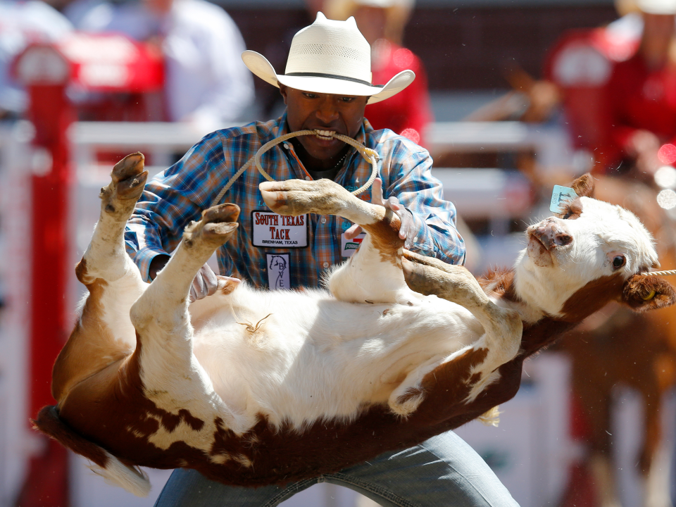 texas cowboy