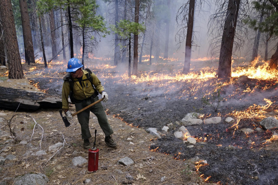 FILE - In this June 11, 2019, file photo, firefighter Matthew Dunagan stands watch as flames spread during a prescribed fire in Cedar Grove at Kings Canyon National Park, Calif. Nearly two years ago President Donald Trump ordered the U.S. Forest Service and the Department of Interior to make federal lands less susceptible to catastrophic wildfires. But the agencies fell short of his goals in 2019, treating a combined 4.3 million acres — just over half of the 8.45 million acres the president sought. It was only slightly better than their average annual performance over nearly two decades, according to government data. (AP Photo/Brian Melley)