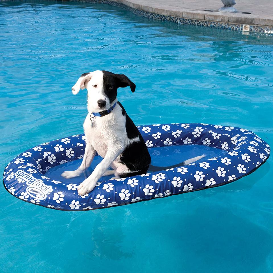 SwimWays paws dog pool float, best pool floats