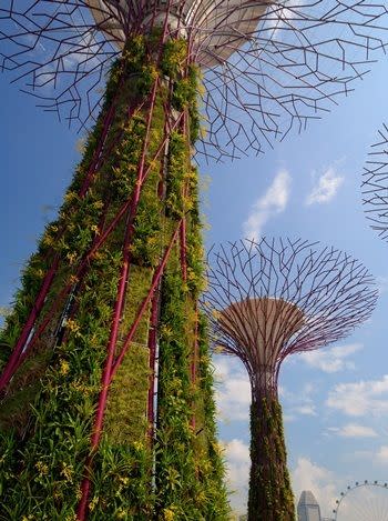 Photo: Gardens by the Bay