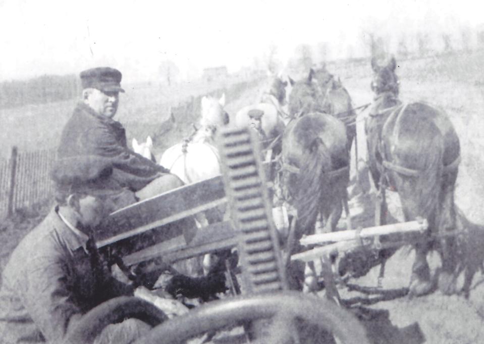 Albert Root (looking at camera) grades Armstrong Road in Berlin Township with his team of horses in the early 20th century. The Root family owned over 200 acres in the township and was instrumental in the creation of the Root Drain that runs near Armstrong and Sigler Roads.