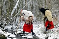 Revellers dressed as devils walk through the village of Valasska Polanka