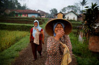 <p>Women share a joke as they walk to a paddy field in Cikawao village of Majalaya, West Java province, Indonesia, Oct. 12, 2017. (Photo: Beawiharta/Reuters) </p>