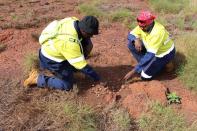 Puutu Kunti Kurrama and Pinikura (PKKP) Project Advisor John Ashburton (R) works on the collection of scatterings in the Pilbara region of Western Australia