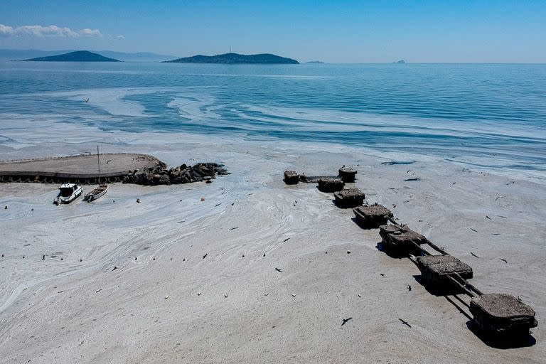 Se cree que el mucílago marino que cubre estos días grandes áreas del mar de Mármara, que conecta el Mar Negro con el Mar Egeo, está causando estragos en las comunidades locales