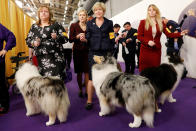 <p>Handlers wait to enter the competition ring during Day One of competition at the Westminster Kennel Club 142nd Annual Dog Show in New York,Feb.12, 2018. (Photo: Shannon Stapleton/Reuters) </p>