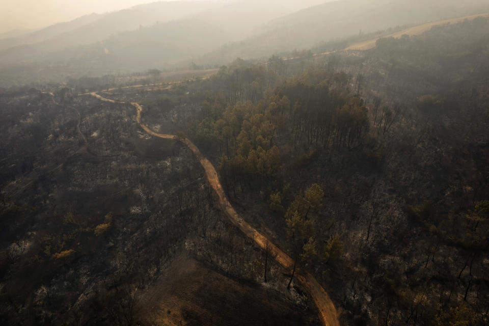 Charred trees are seen during wildfires near the village of Kirkis, near Alexandroupolis town, in the northeastern Evros region, Greece, Wednesday, Aug. 23, 2023. Water-dropping planes from several European countries joined hundreds of firefighters Wednesday battling wildfires raging for days across Greece that have left 20 people dead, while major blazes were also burning in Spain's Tenerife and in northwestern Turkey near the Greek border. (AP Photo/Achilleas Chiras)