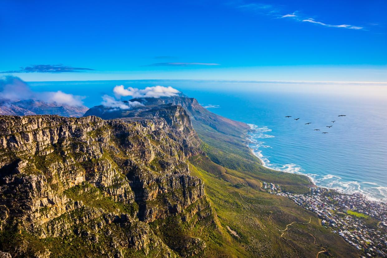 Cape Town's Table Mountain National Park - Kushnirov Avraham - Fotolia